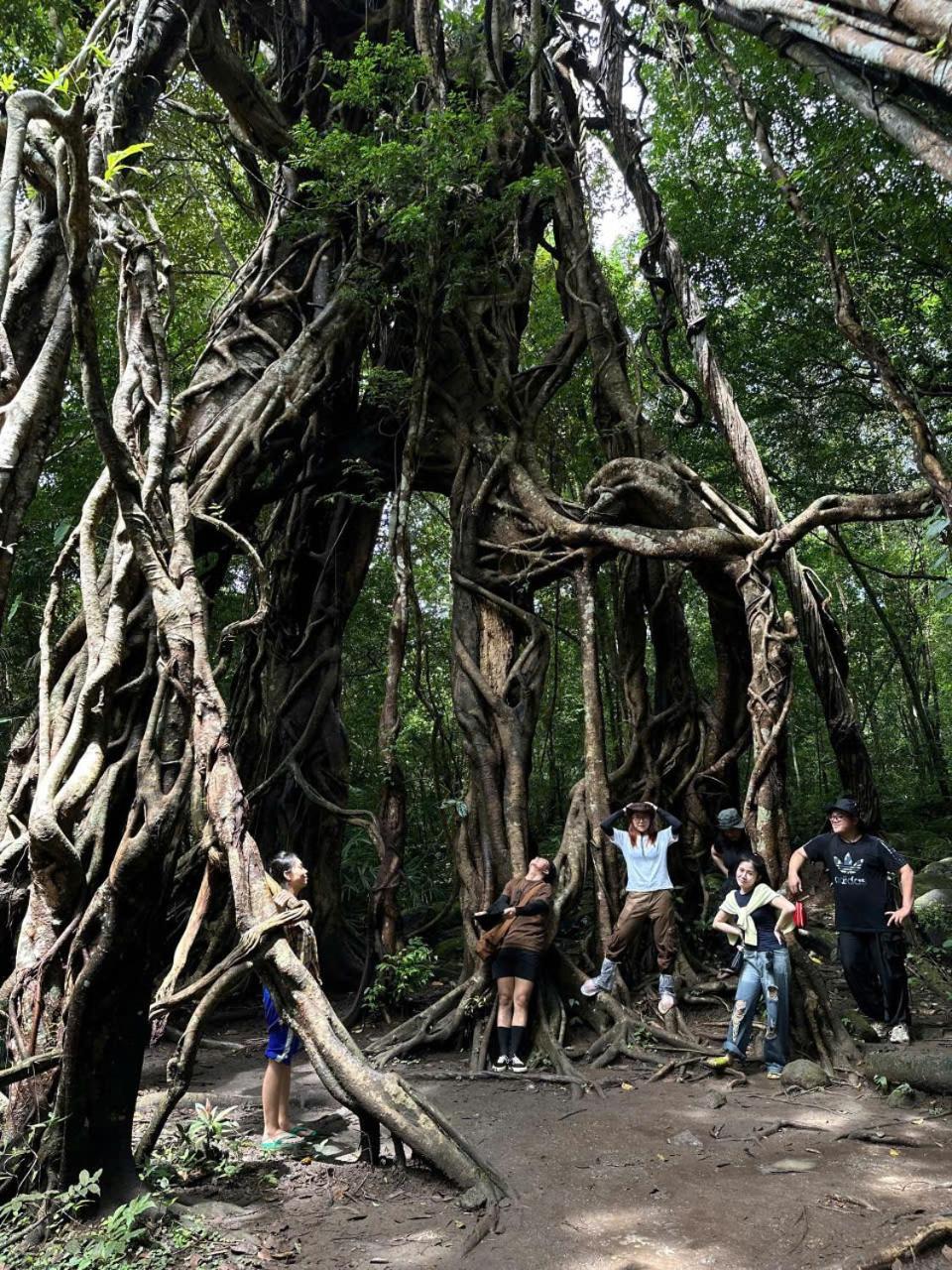 Forest Breath Eco-Lodge 캇 티엔 외부 사진